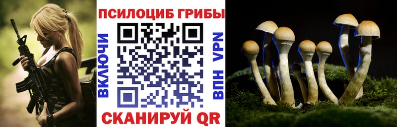 где купить наркоту  Шарыпово  Псилоцибиновые грибы прущие грибы 