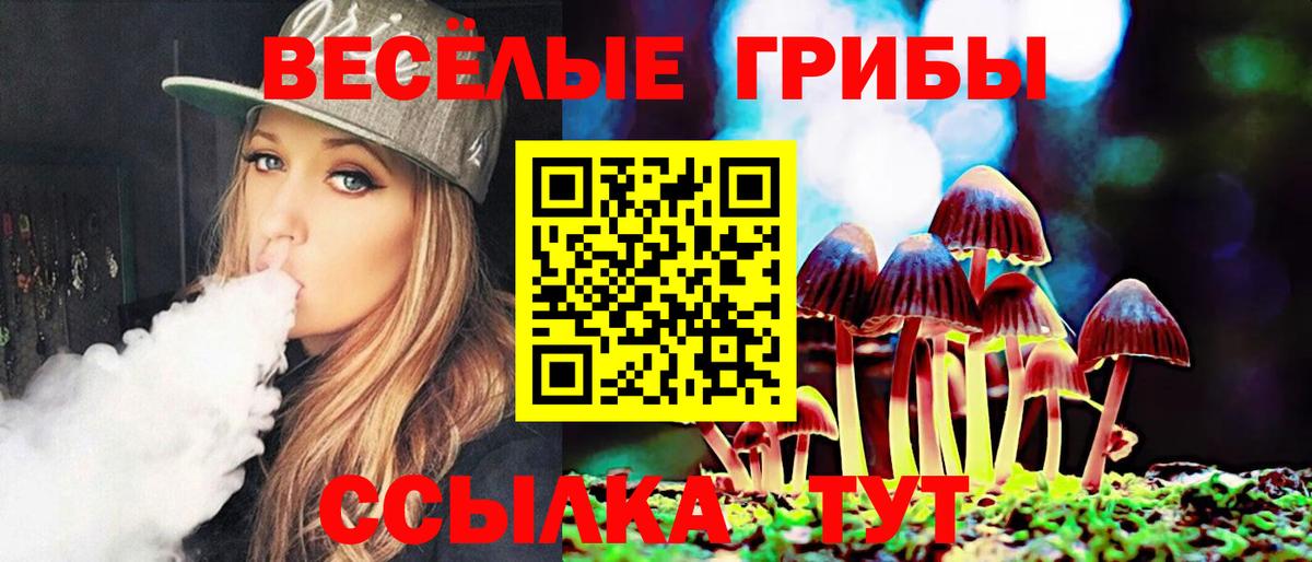 Шарыпово  Псилоцибиновые грибы Cubensis  Вход с VPN  Галлюциногенные грибы Magic Shrooms 