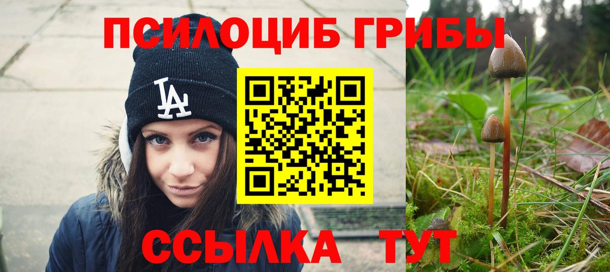 Галлюциногенные грибы мицелий Шарыпово
